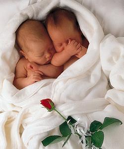 bébé